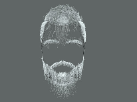 Realistic Hair Beard brows mustache p2 Modelo 3D