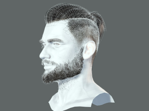 Realistic Hair Beard brows mustache p2 Modelo 3D