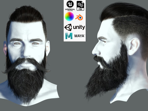 Realistic Hair Beard brows mustache p3 3D 模型