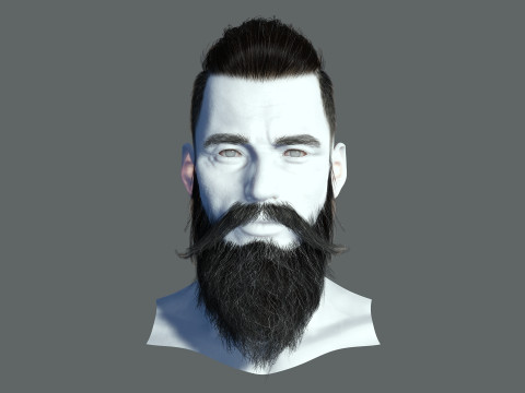 Realistic Hair Beard brows mustache p3 Model 3D