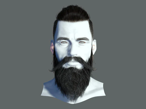 Realistic Hair Beard brows mustache p3 3D Model