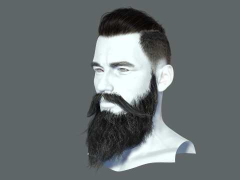 Realistic Hair Beard brows mustache p3 Model 3D