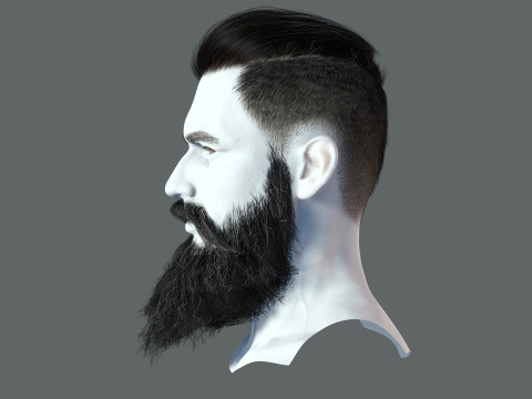 Realistic Hair Beard brows mustache p3 Model 3D