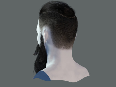 Realistic Hair Beard brows mustache p3 Model 3D
