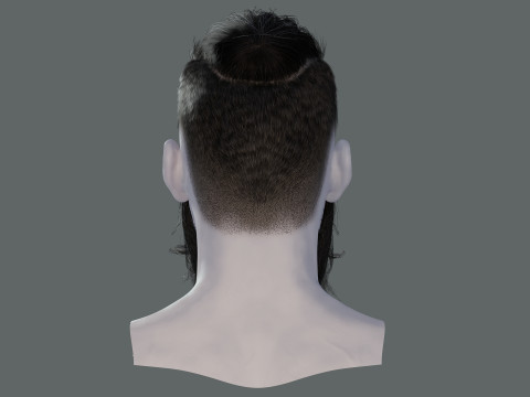 Realistic Hair Beard brows mustache p3 Model 3D