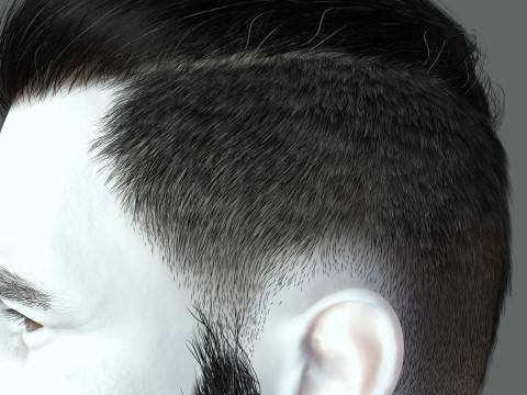 Realistic Hair Beard brows mustache p3 Model 3D