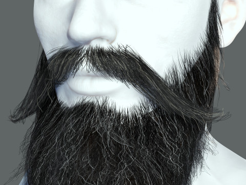 Realistic Hair Beard brows mustache p3 Model 3D