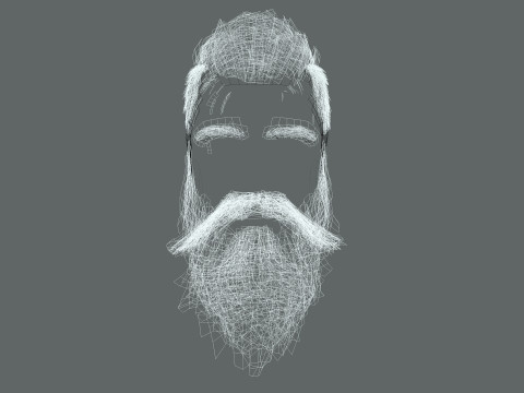 Realistic Hair Beard brows mustache p3 Model 3D