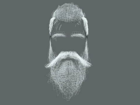 Realistic Hair Beard brows mustache p3 3D Model