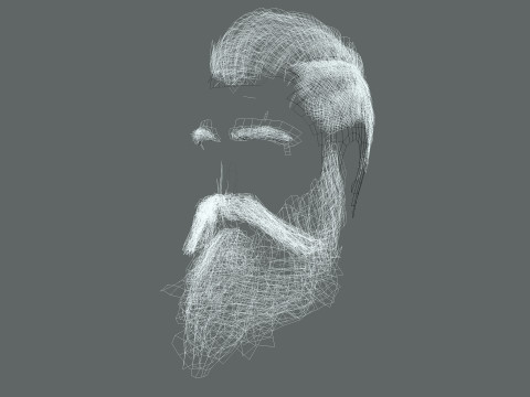 Realistic Hair Beard brows mustache p3 Model 3D