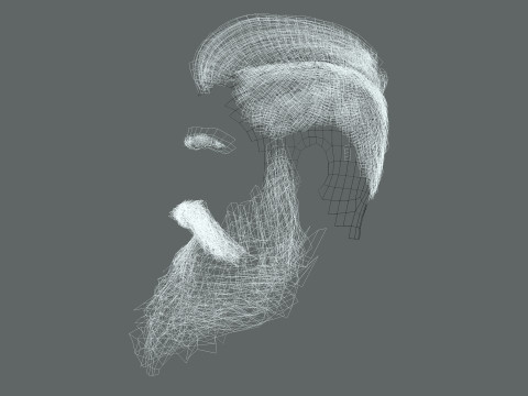 Realistic Hair Beard brows mustache p3 Model 3D