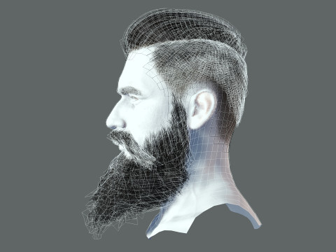 Realistic Hair Beard brows mustache p3 Model 3D