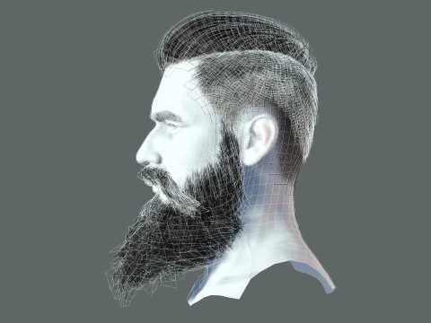 Realistic Hair Beard brows mustache p3 3D Model
