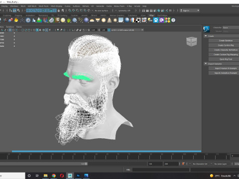 Realistic Hair Beard brows mustache p3 Model 3D