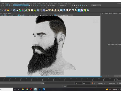 Realistic Hair Beard brows mustache p3 3D Model