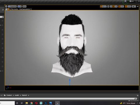 Realistic Hair Beard brows mustache p3 Model 3D