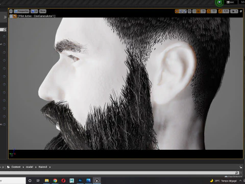 Realistic Hair Beard brows mustache p3 3D Model