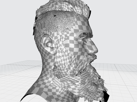 Realistic Hair Beard brows mustache p3 Model 3D