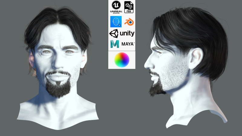 Realistic Hair Beard brows mustache p4 3D मॉडल .c4d .max .obj .3ds .fbx .stl .blend