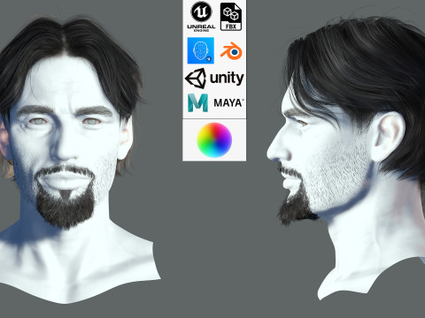 Realistic Hair Beard brows mustache p4 3D 模型