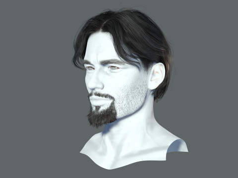 Realistic Hair Beard brows mustache p4 3D मॉडल