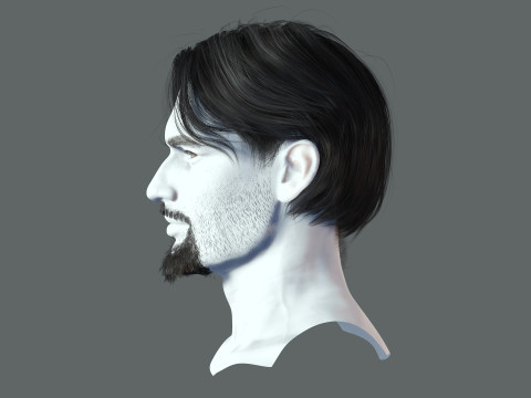 Realistic Hair Beard brows mustache p4 3D मॉडल