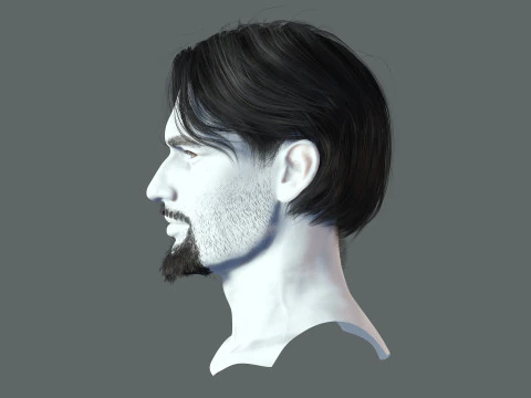 Cabelo realista, barba, sobrancelhas, bigode p4 Modelo 3D