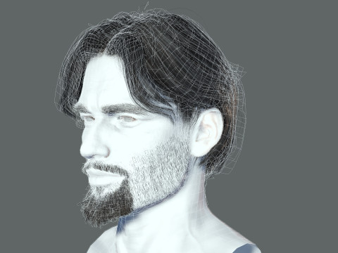 Realistic Hair Beard brows mustache p4 3D मॉडल