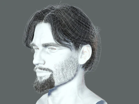 Cabelo realista, barba, sobrancelhas, bigode p4 Modelo 3D