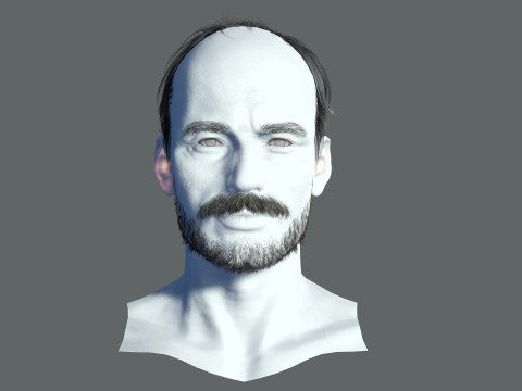 Realistic Hair Beard brows mustache p5 3D-Modell