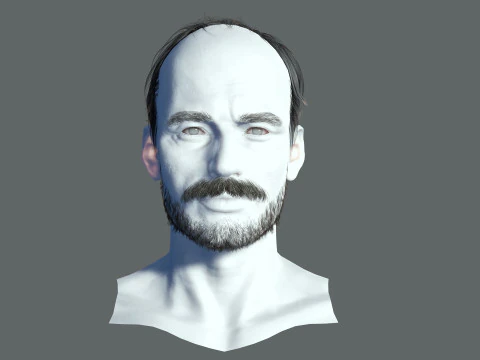 Realistic Hair Beard brows mustache p5 3D Model