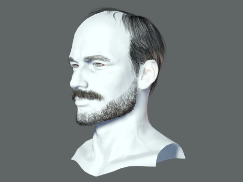 Realistic Hair Beard brows mustache p5 3D-Modell