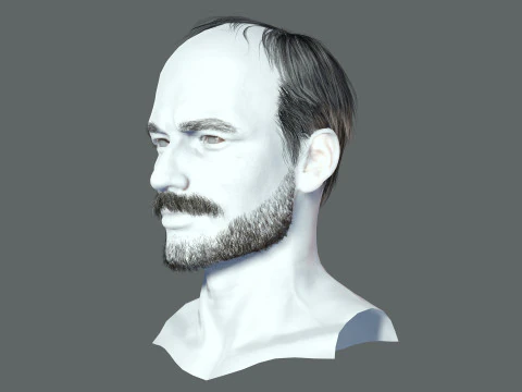 Realistic Hair Beard brows mustache p5 3D Model