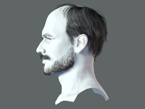 Realistic Hair Beard brows mustache p5 3D-Modell