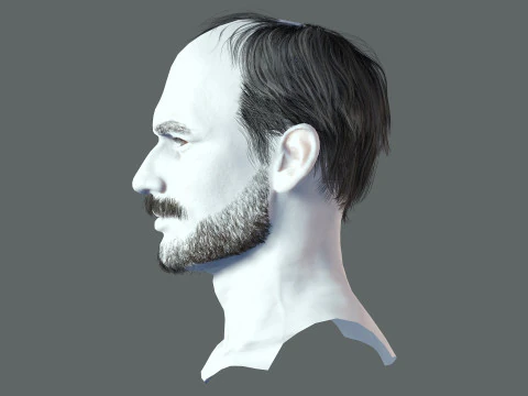 Realistic Hair Beard brows mustache p5 3D Model