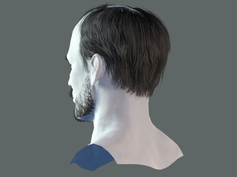 Realistic Hair Beard brows mustache p5 3D Model