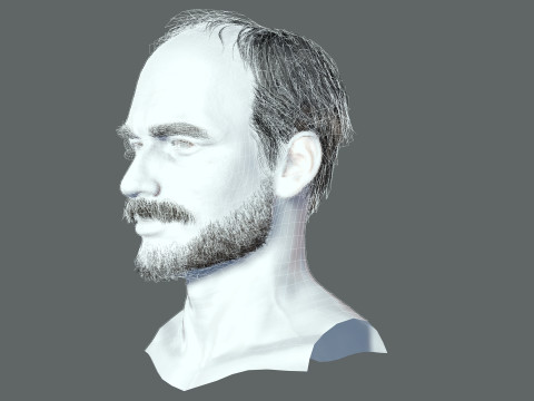 Realistic Hair Beard brows mustache p5 3D-Modell