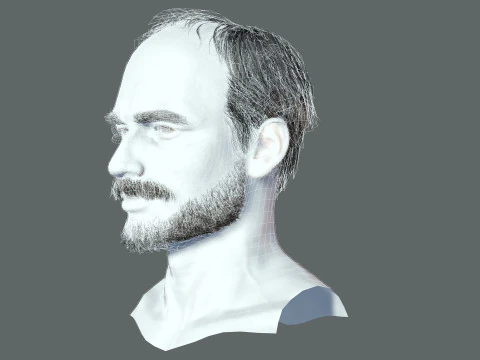 Realistic Hair Beard brows mustache p5 3D Model