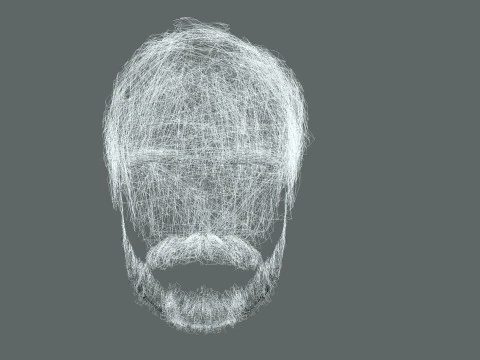 Realistic Hair Beard brows mustache p5 3D Model