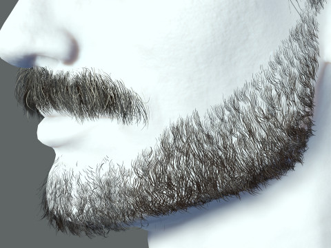 Realistic Hair Beard brows mustache p5 3D-Modell