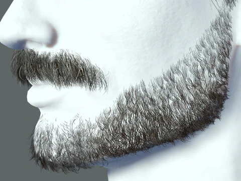 Realistic Hair Beard brows mustache p5 3D Model