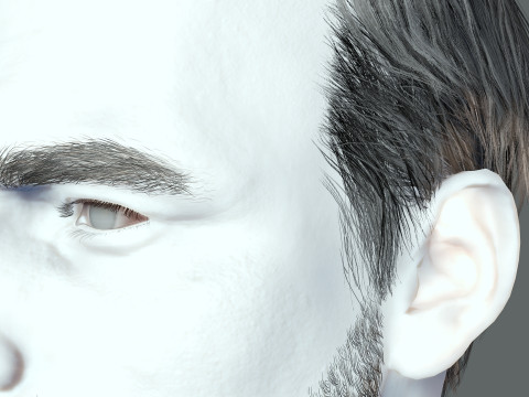 Realistic Hair Beard brows mustache p5 3D-Modell