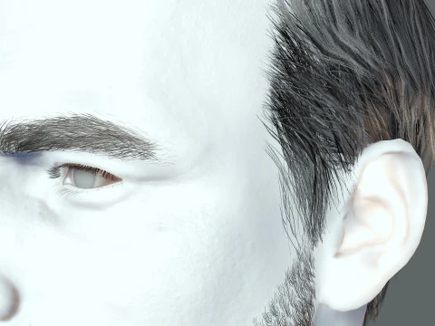 Realistic Hair Beard brows mustache p5 3D Model