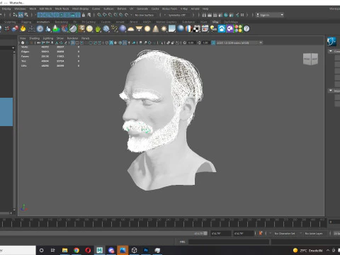 Realistic Hair Beard brows mustache p5 3D Model