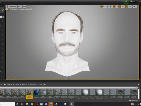 Realistic Hair Beard brows mustache p5 3D-Modell
