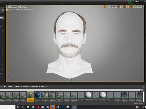 Realistic Hair Beard brows mustache p5 3D Model