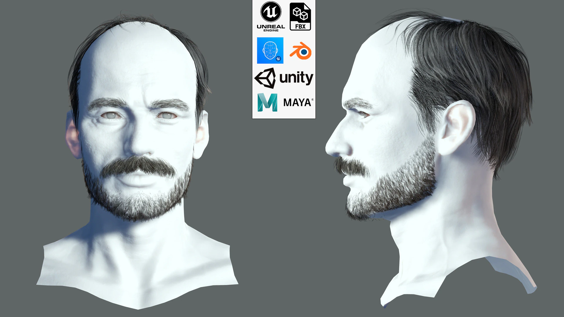Realistic Hair Beard brows mustache p5 3D Model .c4d .max .obj .3ds .fbx .stl .blend 