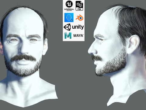 Realistic Hair Beard brows mustache p5 3D 模型