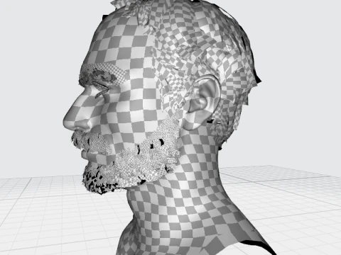 Realistic Hair Beard brows mustache p5 3D Model