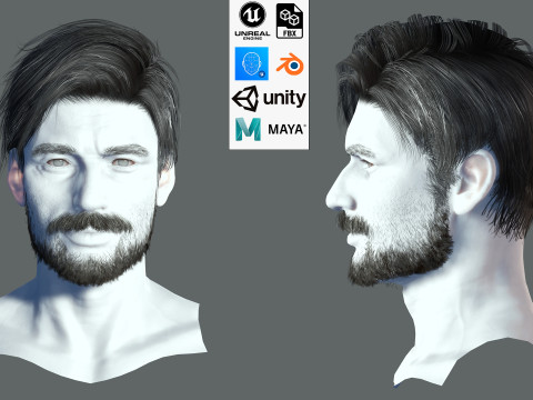 Realistic Hair Beard brows mustache p6 3D 模型